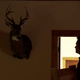 Screenshot: Sundance TV